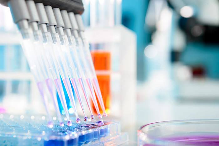 multichannel pipette injecting liquid into a microtiter plate